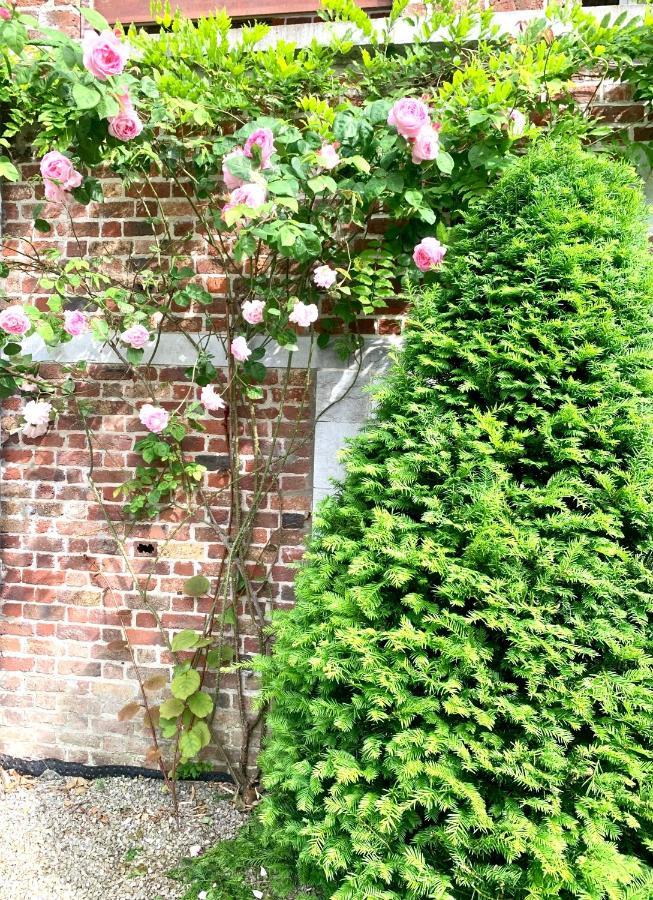 Bed and Breakfast La Tour D'Heloise - 10' De Bruxelles La Hulpe Exterior foto